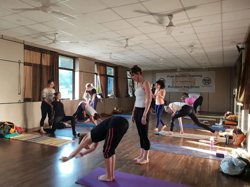  Best 300 Yoga YTTC in Rishikesh